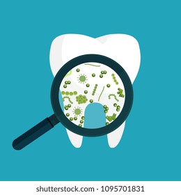 Bacteria on a human white tooth being viewed on a magnifying glass. Vector illustration