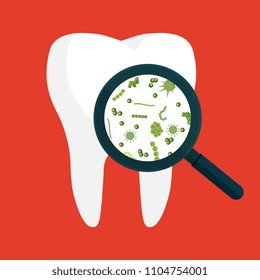 Bacteria on a human white tooth being viewed on a magnifying glass. Vector illustration