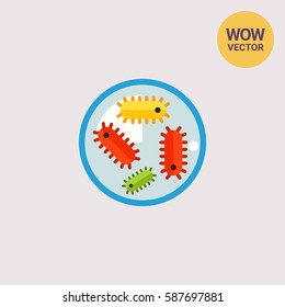 Bacteria in petri dish 2