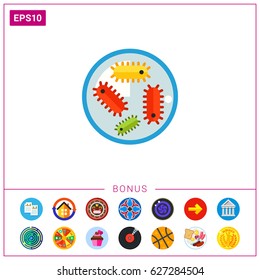 Bacteria in petri dish 2