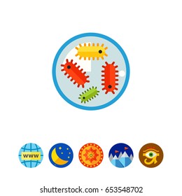 Bacteria in petri dish 2