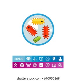 Bacteria in petri dish 2