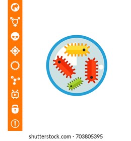 Bacteria in petri dish 2