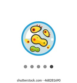 Bacteria in petri dish