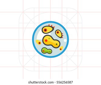 Bacteria in petri dish