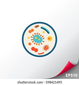 Bacteria in petri dish