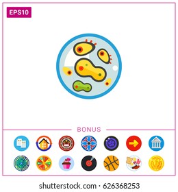 Bacteria in petri dish