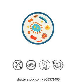 Bacteria in petri dish