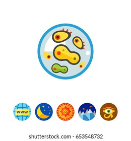 Bacteria in petri dish