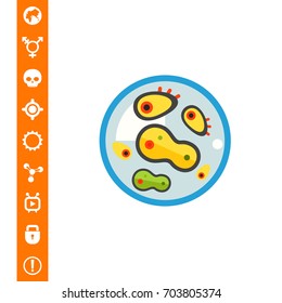 Bacteria in petri dish