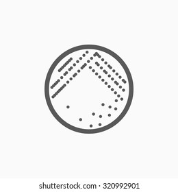 Bacteria In Petri Dish Icon