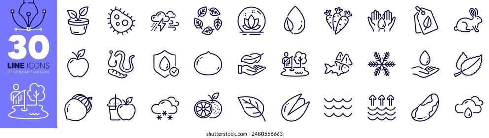 Bacteria, Pistachio nut and Leaf dew line icons pack. Bio tags, Organic tested, Carrots web icon. Snow weather, Water care, Snowflake pictogram. Orange, Fishing place, Brazil nut. Vector