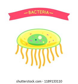 Bacteria poster with microorganism cell and red banner. Organism pathogen harmful cell with core. Germ icon small molecule closeup isolated  vector
