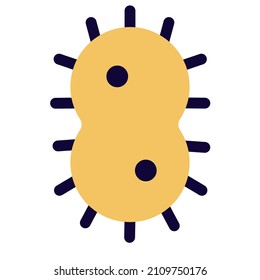 Bacteria replicating from each other from a unisex structure