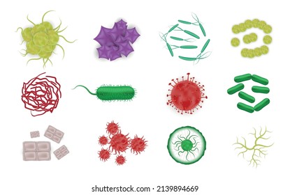 Bacteria shapes set with realistic images of microbes colorful icons of microorganism cells on blank background vector illustration