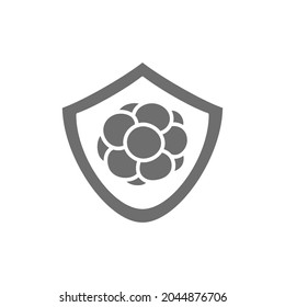 Bacteria in shield, immune system, protection on viruses grey icon.