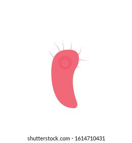 bacteria simple clip art vector illustration