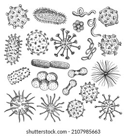 Bacteria sketch. Drawing viruses biological closeup cells covid type of bacteria medical concept illustrations recent vector doodle pictures set
