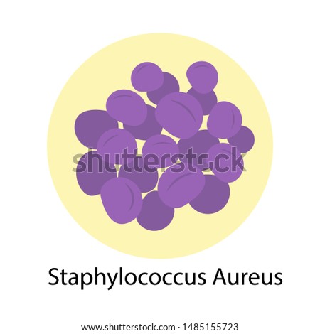 Bacteria Staphylococcus Aureus icon isolated on white background.  Microorganisms vector illustration.