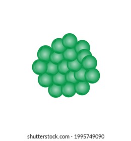 Bakterien Staphylococcus aureus einzeln auf weißem Hintergrund
