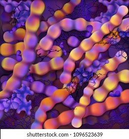 Bacteria. Streptococcus vector