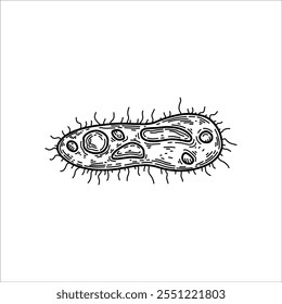 Bacteria structure hand drawn illustration artwork