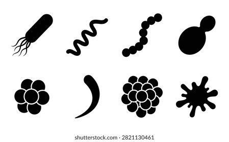 Bacteria types icon set featuring bacilli spirillum streptococcus yeast staphylococcus vibrio and amoeba vectors