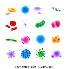 Bacteria Types Realistic Vector Icons Set. Pathogen Illustrations. Blood Cells. Microbe And Virus. 3d Isolated Color Microorganisms Of Various Shapes Under Microscope On White Background