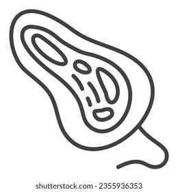 Bacteria vector Microbiology concept linear icon or design element