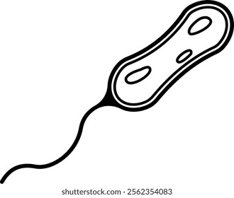 Bacteria Vibrio Cholerae icon outline