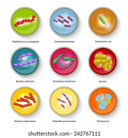 Bacteria Virus Biohazard Microorganism Allergens Microscopic Stock ...