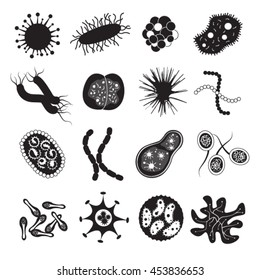 Bacteria Virus and Microbiology Set