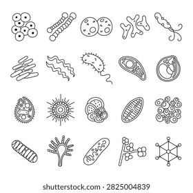 Bacteria virus set featuring staphylococcus streptococcus diplococcus bifidobacterium helicobacter mycobacterium spirochete vibrio toxoplasma plasmodium