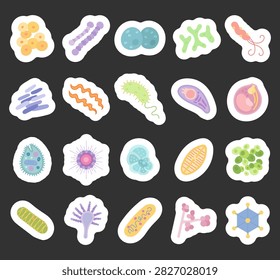 Bacteria virus set featuring staphylococcus streptococcus diplococcus bifidobacterium helicobacter mycobacterium spirochete vibrio toxoplasma plasmodium