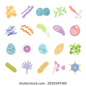 Bacteria virus set featuring staphylococcus streptococcus diplococcus bifidobacterium helicobacter mycobacterium spirochete vibrio toxoplasma plasmodium
