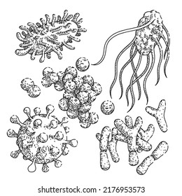 bacteria virus set hand drawn vector. disease microbiology, bacterium research, madicine laboratory bacteria virus sketch. isolated black illustration