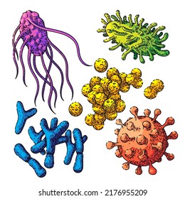 bacteria virus set hand drawn vector. disease microbiology, bacterium research, madicine laboratory bacteria virus sketch. isolated color illustration