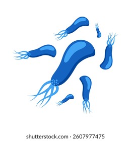 Bacteria and Virus Vector Illustration