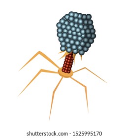Bacteria or virus. Vector isolates in cartoon flat style on a white background