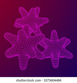Bacteria virus wireframe mesh model,vector illustration microbe. Bacteria virus or germs microorganism cells under microscope.