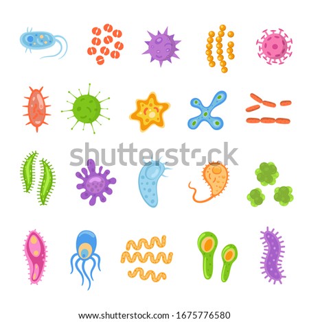 Bacteria and viruses colorful set, micro-organisms disease-causing objects. Different types, bacteria, viruses, coronavirus, infusorium, streptococcus, fungi, protozoa. Vector illustration.