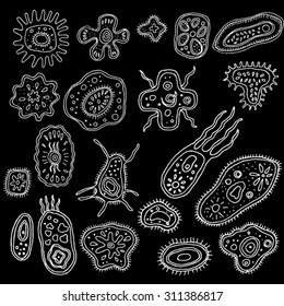 Bacteria White on Black