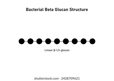 Bacterial Beta Glucan Molecule Structure Scientific Design. Vector Illustration.	