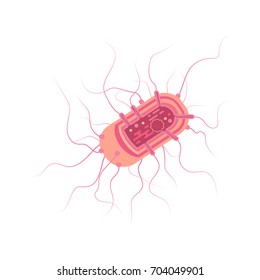 Bacterial cell with long flagella isolated on white background. Stock vector illustration of salmonella bacteria. Flat style.