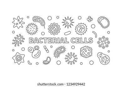 Bacterial cells horizontal banner. Vector concept outline illustration made with microbes and viruses icons