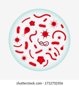 Microorganismo bacteriano en círculo. Conjunto colorido de bacterias y gérmenes, microorganismos, objetos causantes de enfermedades, cáncer celular, bacterias, virus, hongos, protozoos.Icono de ilustración de caricatura plana vectorial.