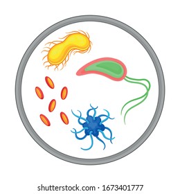 Bacterial Microorganism and Disease-causing Objects in Circle Vector Illustration