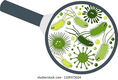 Bacterial microorganism in a magnifier. Bacteria and germs colorful set, micro-organisms, bacteria, viruses, fungi, protozoa under the rejuvenating glass. Vector Illustration on white background