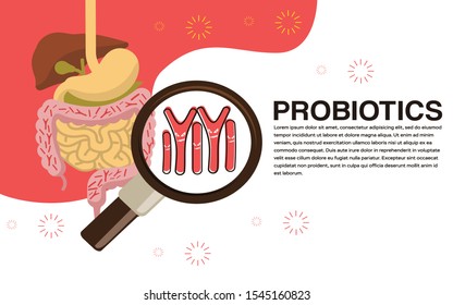 Bacterial microorganism in a magnifier. The image of the intestine, vector illustration.