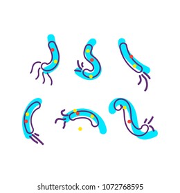 Bacterial microorganism. Micro-organisms, bacteria, viruses, fungi, protozoa under the rejuvenating glass,magnifier.Vector flat cartoon illustration icon